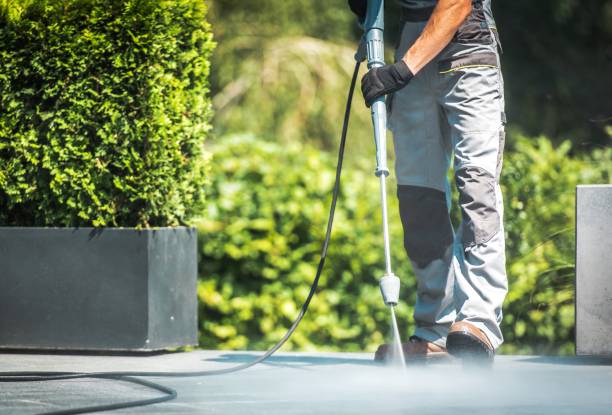Boat and Dock Cleaning in Pierce, CO