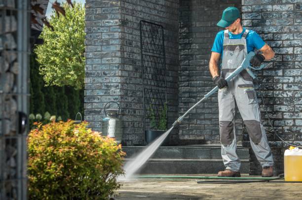 Best Solar Panel Cleaning  in Pierce, CO